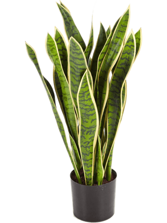 Sansevieria Artificial Plant Premium Faux 80cm Height