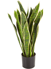 Sansevieria Artificial Plant Premium Faux 80cm Height