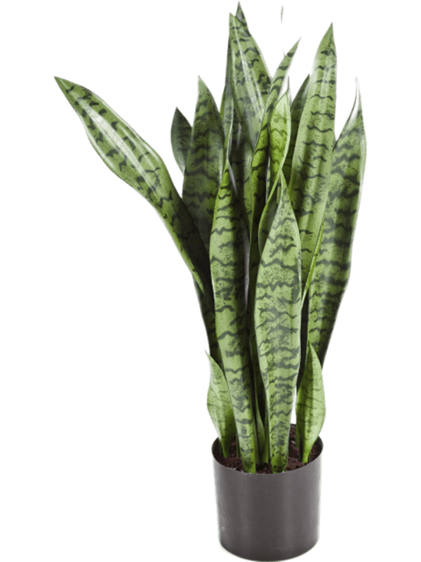 Sansevieria Artificial Plant Premium Faux 93cm Height
