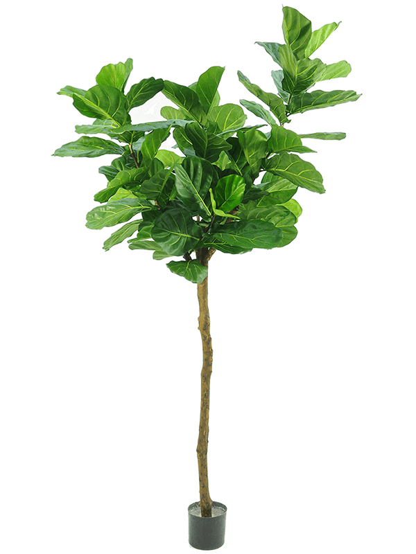 Fiddle Leaf Tree Artificial Plant Premium Faux 225cm Height