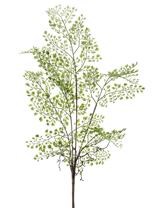 Adianthum Artificial Plant Premium Faux 55cm Height