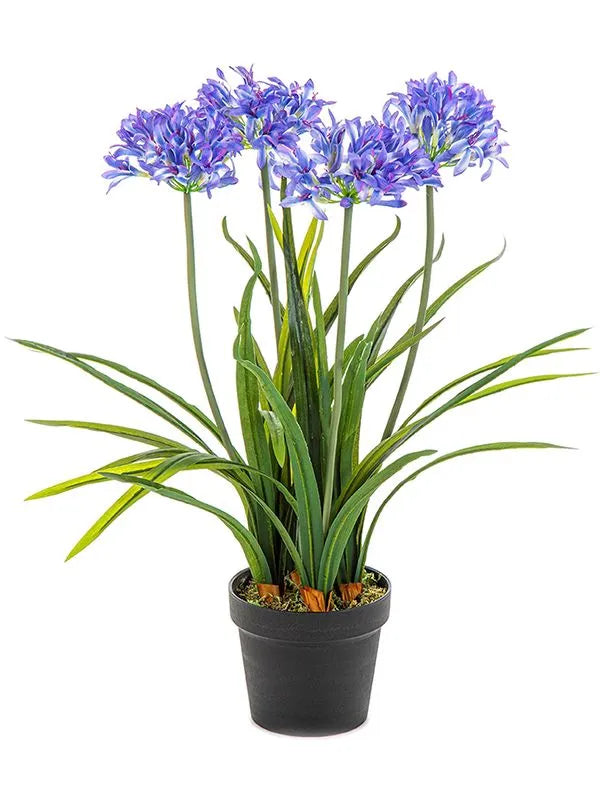Agapanthus Artificial Plant Premium Faux 66cm Height
