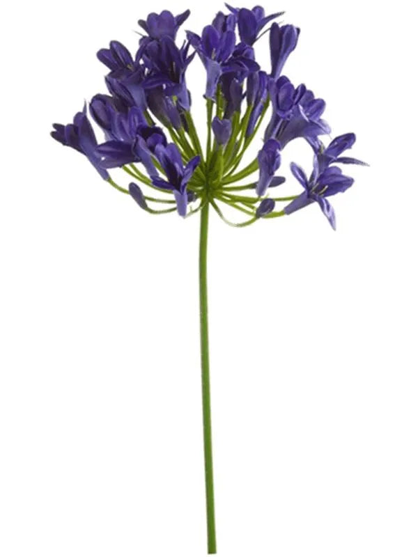 Agapanthus Artificial Plant Premium Faux 75cm Height