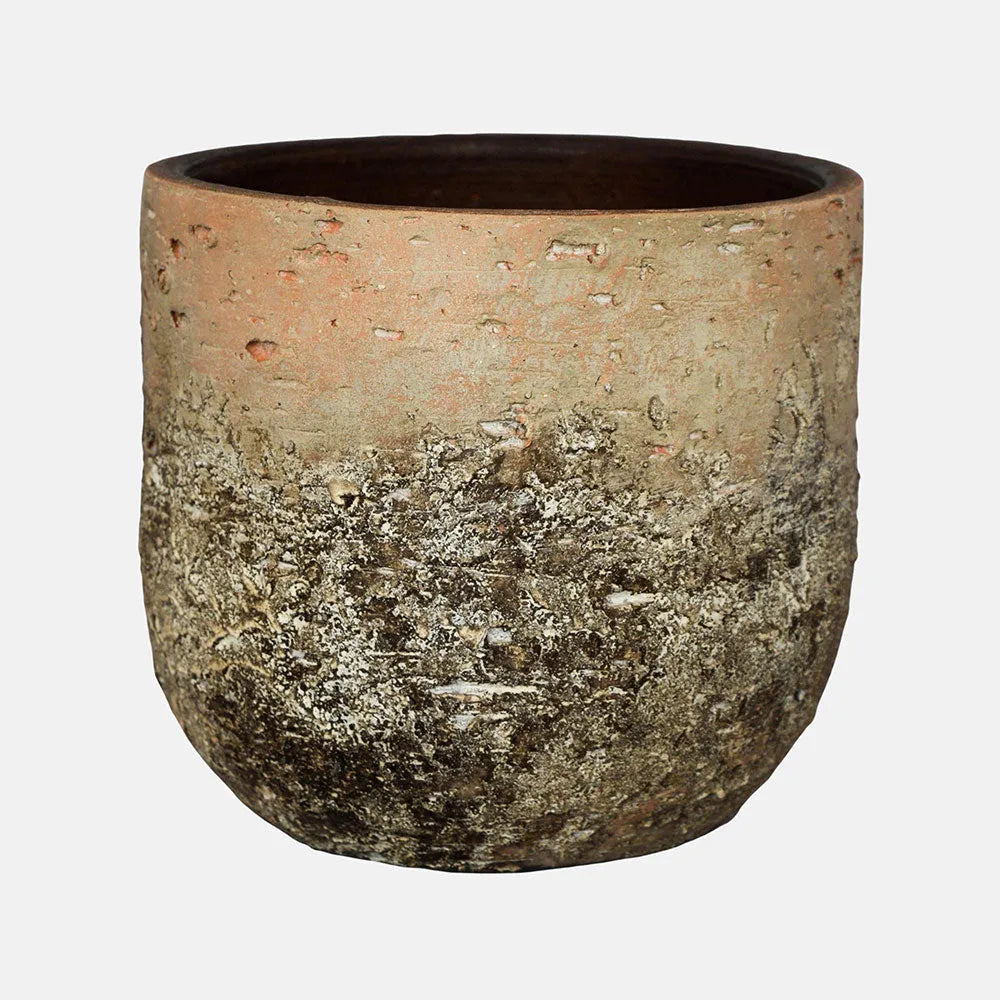 Albero Planter 26cm Height 28cm Dia