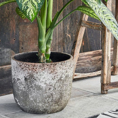 Albero Planter 26cm Height 28cm Dia