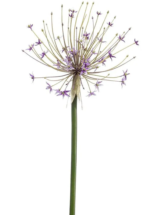 Allium Artificial Plant Premium Faux 105cm Height