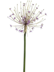 Allium Artificial Plant Premium Faux 105cm Height