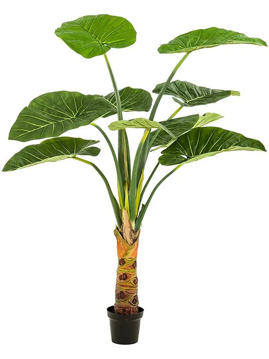 Alocasia Artificial Plant Premium Faux 160cm Height