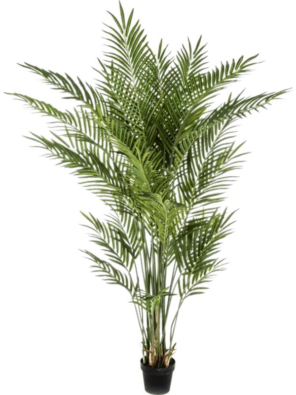 Areca Artificial Plant Premium Faux 170cm Height
