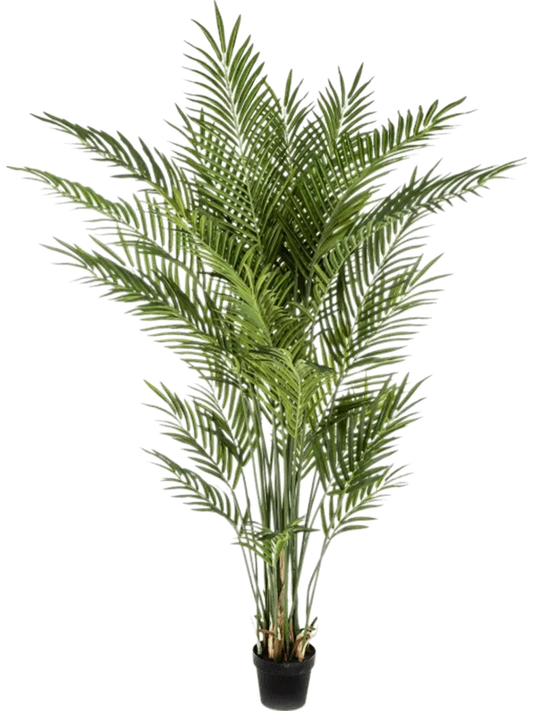 Areca Artificial Plant Premium Faux 170cm Height