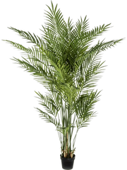 Areca Artificial Plant Premium Faux 170cm Height
