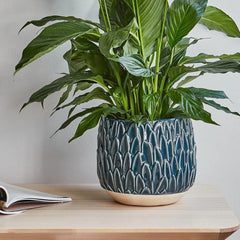 Arles Leaf Embossed Teal Planter 17cm Height 18cm Width