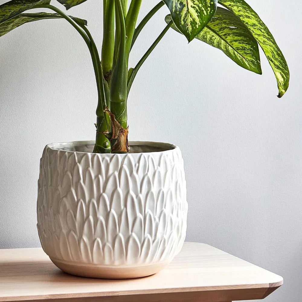 Arles Leaf Embossed White Planter 20cm Height 22cm Width