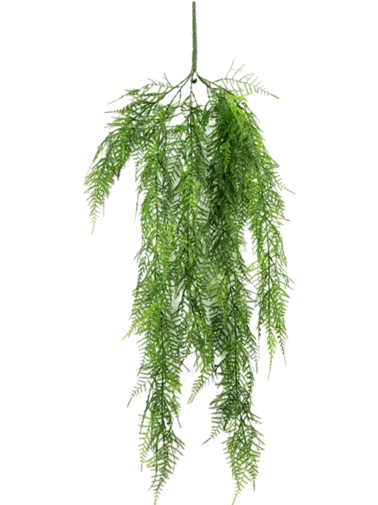 Asparagus Artificial Plant Premium Faux 75cm Height