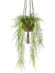 Asparagus Plumosus Artificial Plant Premium Faux 60cm Height