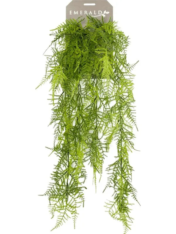 Asparagus Plumosus Artificial Plant Premium Faux 80cm Height