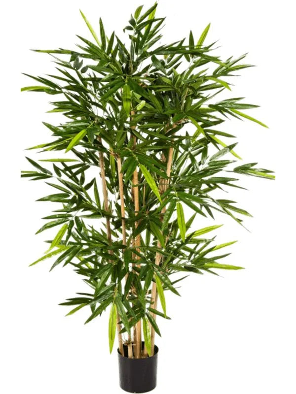 Bamboo Artificial Plant Premium Faux 180cm Height