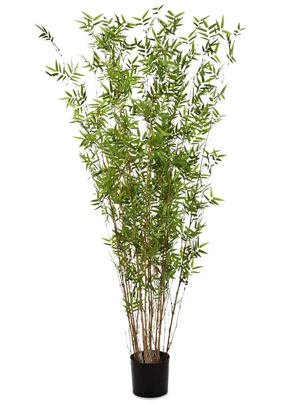 Bamboo Oriental Artificial Plant Premium Faux 190cm Height