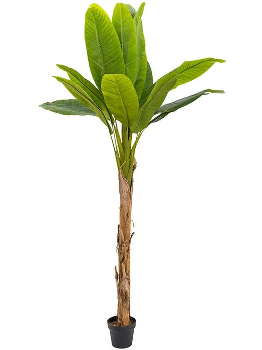 Banana Artificial Plant Premium Faux 180cm Height