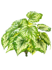 Begonia Artificial Plant Premium Faux 34cm Height