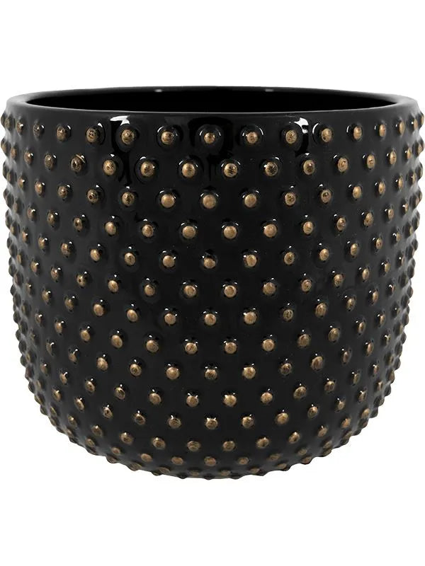 Bolino Plant Pot 21cm Height 21cm Dia Pot Shiny Black