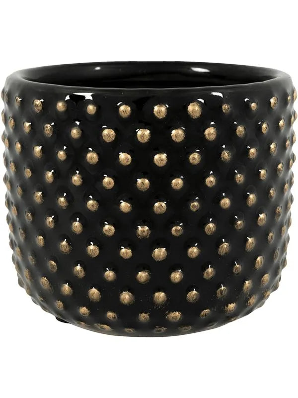 Bolino Plant Pot 8cm Height 6cm Dia Pot Shiny Black