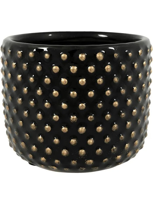 Bolino Plant Pot 8cm Height 6cm Dia Pot Shiny Black