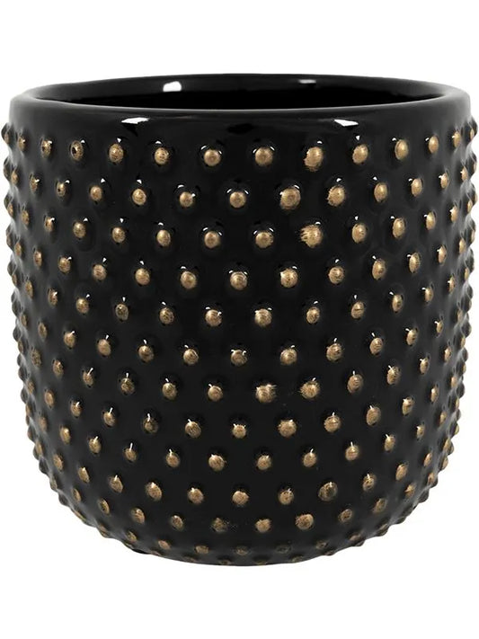 Bolino Plant Pot 9cm Height 9cm Dia Pot Shiny Black