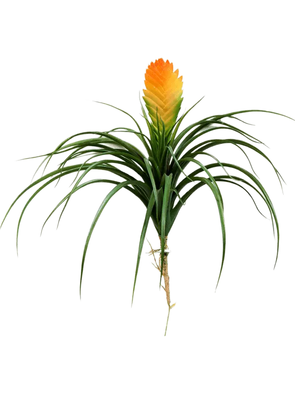Bromelia Vriesia Artificial Plant Premium Faux 30cm Height