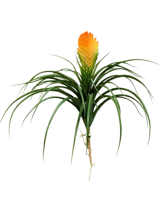 Bromelia Vriesia Artificial Plant Premium Faux 30cm Height