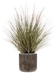 Grass Pennisetum in Baq Luxe Lite Universe Waterfall Office Plant With Pot 97cm Height 24cm Dia