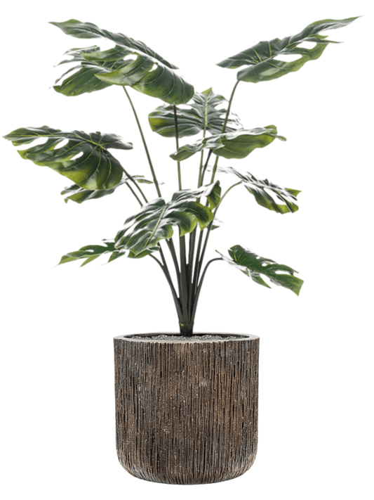 Monstera in Baq Luxe Lite Universe Waterfall Office Plant With Pot 116cm Height 37cm Dia