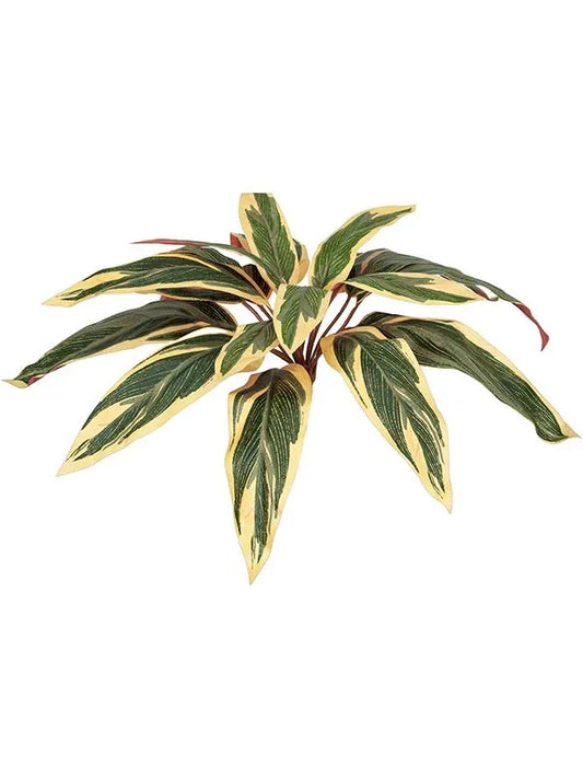 Caladium Artificial Plant Premium Faux 37cm Height