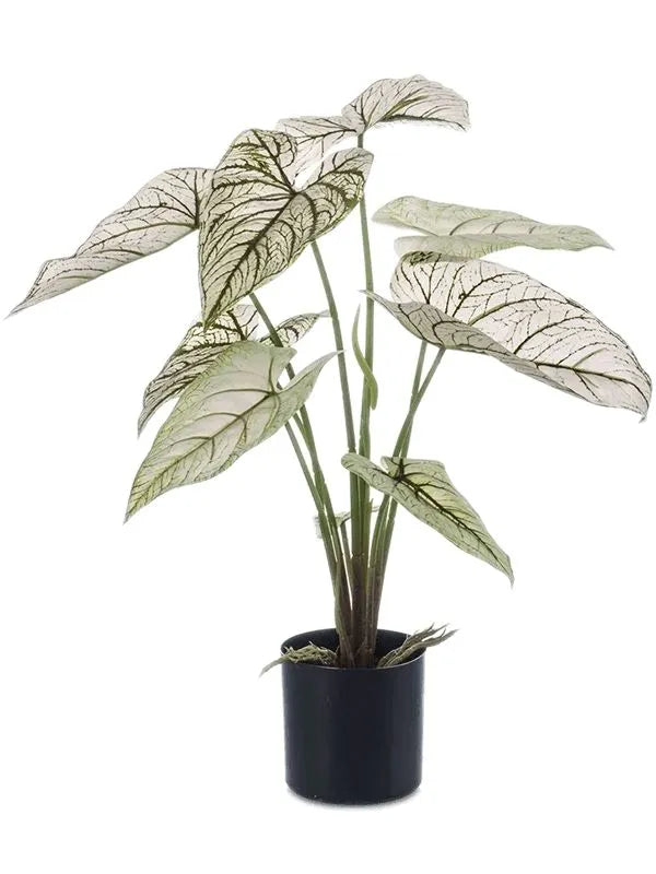 Caladium Artificial Plant Premium Faux 60cm Height