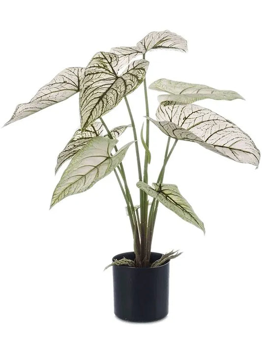 Caladium Artificial Plant Premium Faux 60cm Height