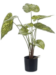 Caladium Artificial Plant Premium Faux 60cm Height