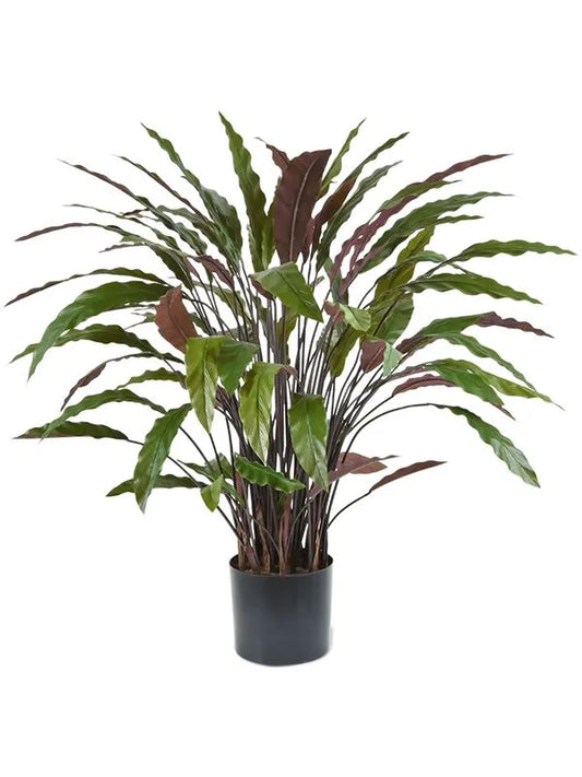 Calathea Rufibarba Blue Grass Artificial Plant Premium Faux 85cm Height