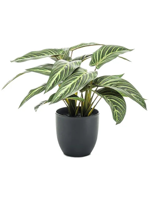 Calathea Zebrina Artificial Plant Premium Faux 38cm Height