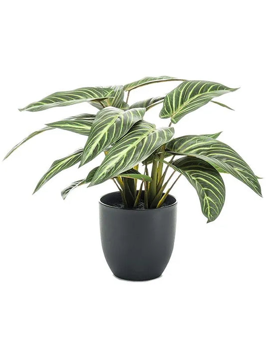 Calathea Zebrina Artificial Plant Premium Faux 38cm Height