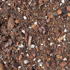 Calathea & Maranta Potting Mix 2.5ltr
