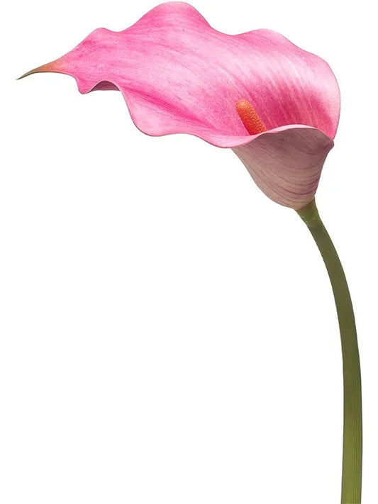 Calla Lily Artificial Plant Premium Faux 83cm Height