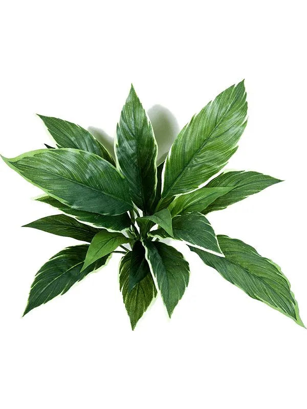 Cordyline Artificial Plant Premium Faux 30cm Height