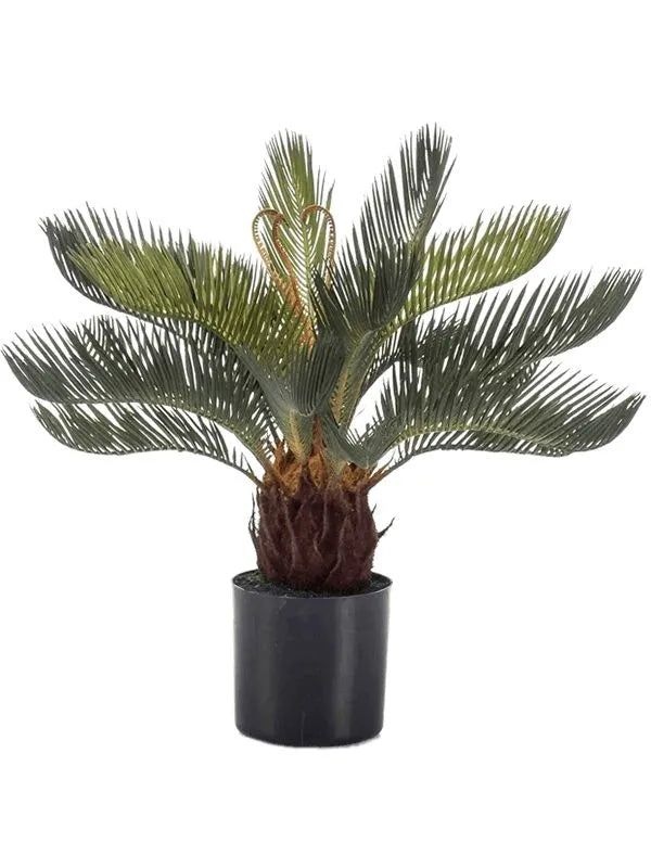 Cycas Artificial Plant Premium Faux 45cm Height