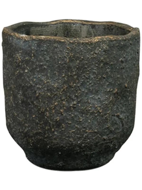 Dave Plant Pot 12cm Height 9cm Dia Pot Earth