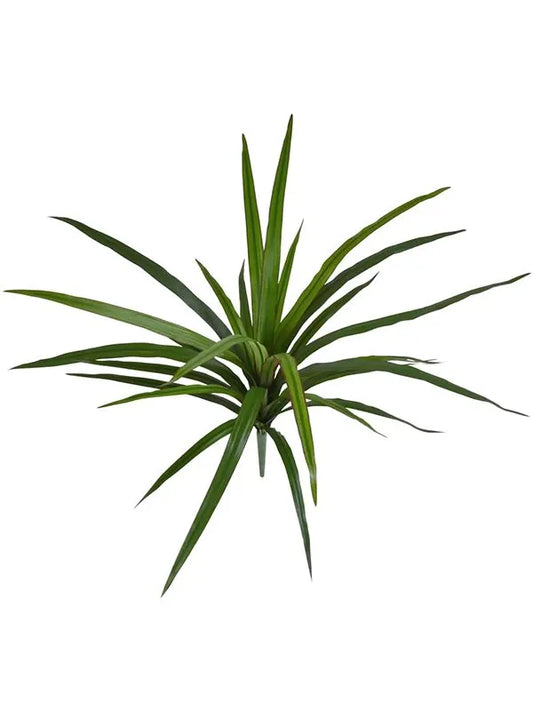 Dracaena Marginata Artificial Plant Premium Faux 45cm Height