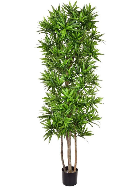 Dracaena Song Of Jamaica Artificial Plant Premium Faux 180cm Height