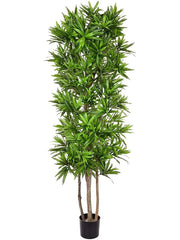 Dracaena Song Of Jamaica Artificial Plant Premium Faux 180cm Height