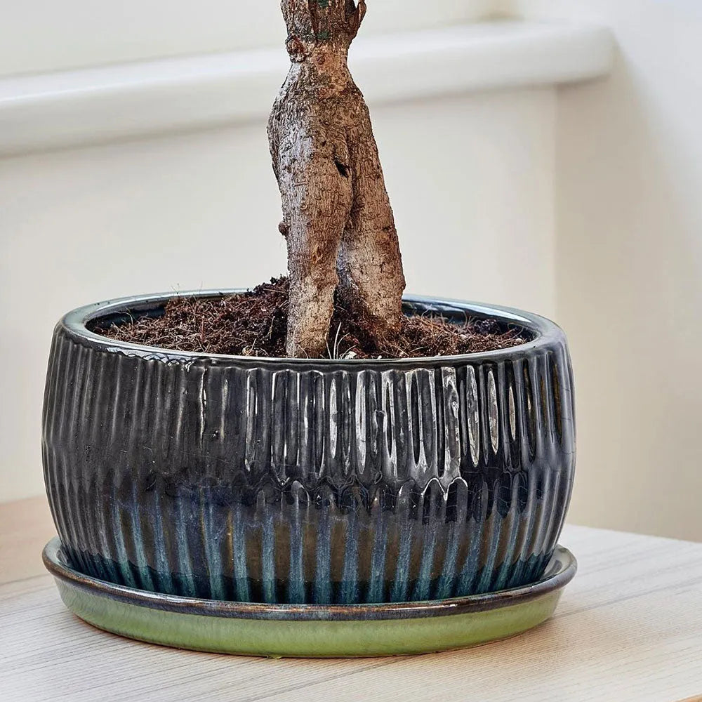Emerald Round Reactive Glaze Bonsai Planter Set of 2