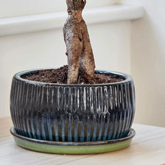 Emerald Round Reactive Glaze Bonsai Planter Set of 2