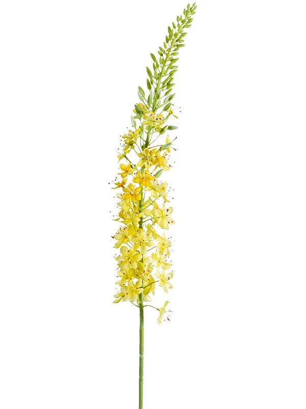 Eremurus Artificial Plant Premium Faux 105cm Height